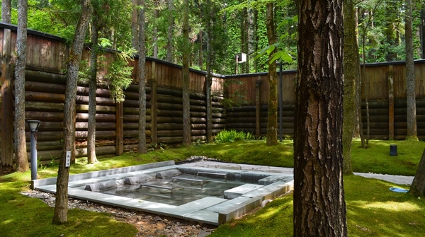 花はす温泉 「そまやま」