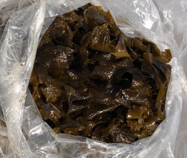 乾燥もみわかめ