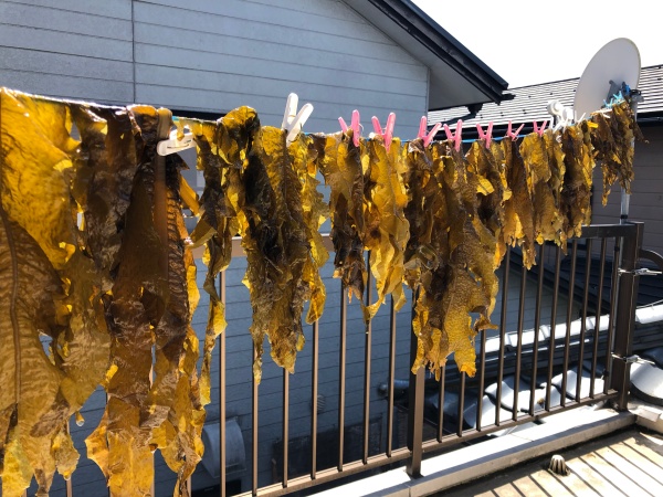 乾燥もみわかめ