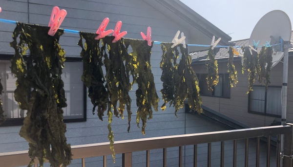 乾燥もみわかめ