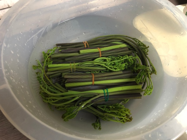 蕨のアク抜き