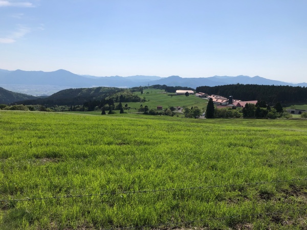 大野市六呂師高原