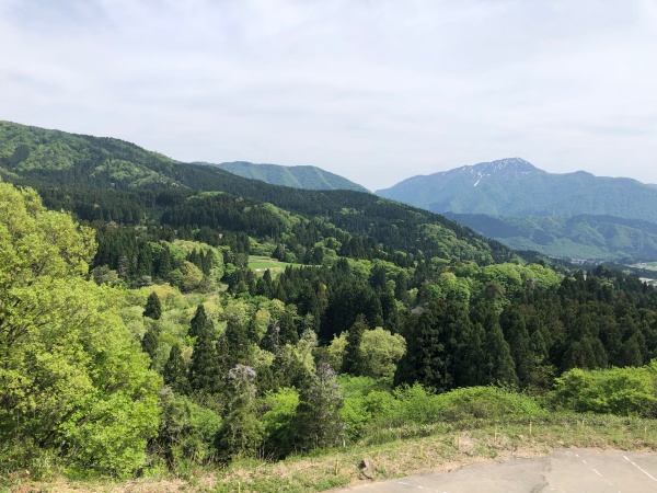 大野市六呂師高原