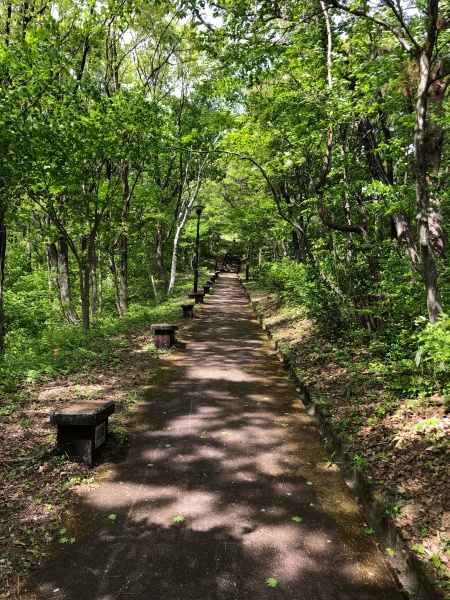 大野市六呂師高原