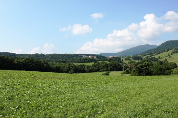 大野市六呂師高原