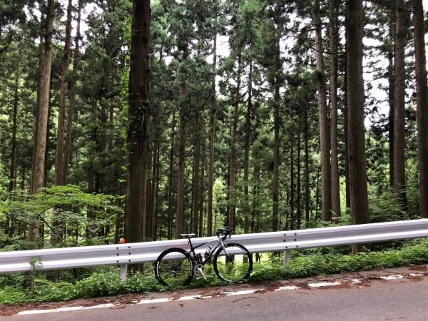 ロードバイク ライド