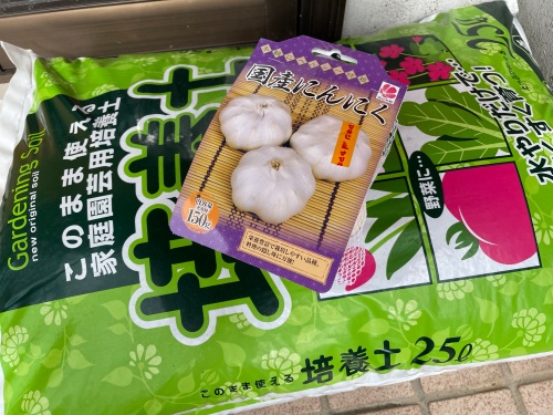 ニンニクの植え付け