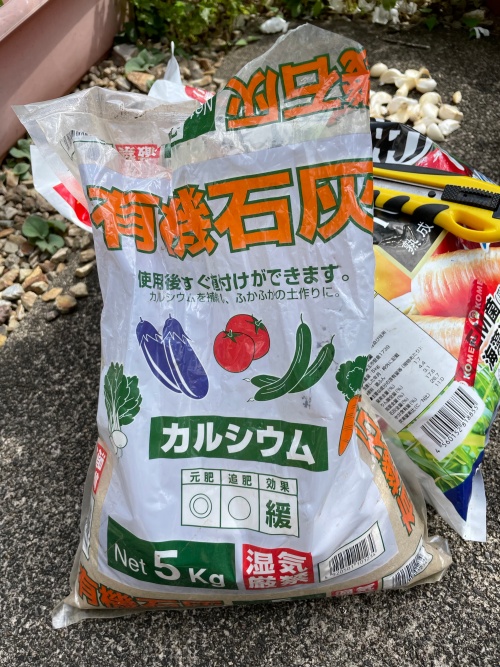 ニンニクの植え付け