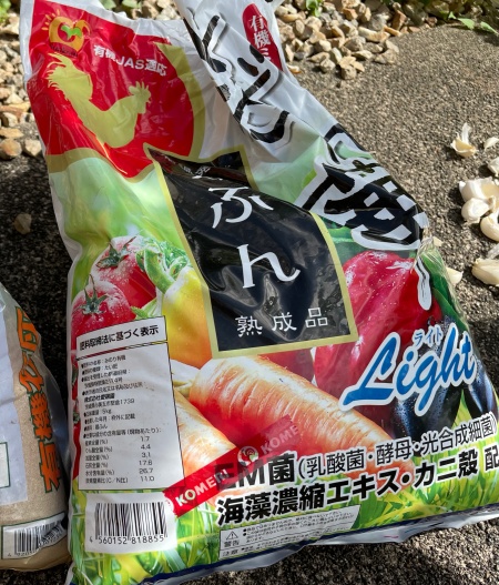 ニンニクの植え付け