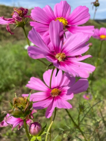 自転車100kmライド
