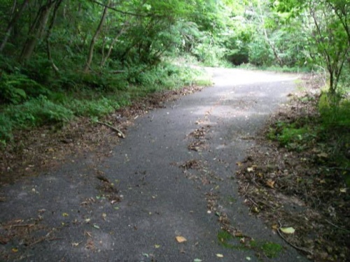 自転車100kmライド