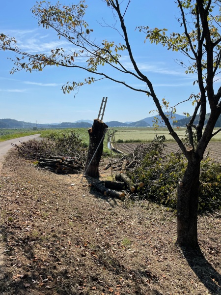 サイクルインナーパンツ