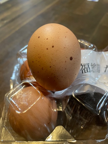 福地鶏 たまご